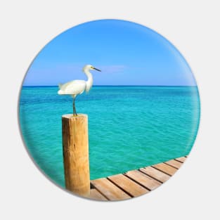 Snowy Egret at the Ocean Pier Pin