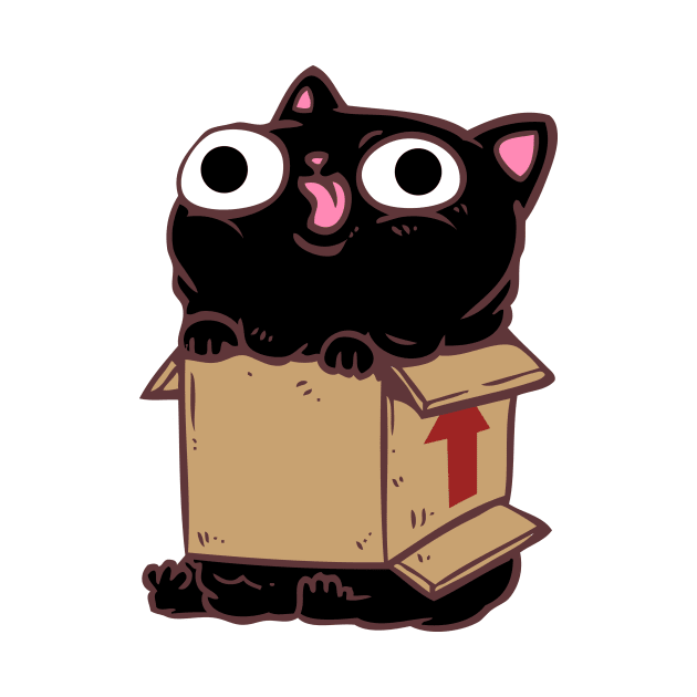 Cat In A Box by Talonardietalon