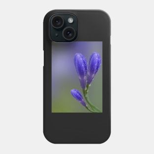 Agapanthus Phone Case