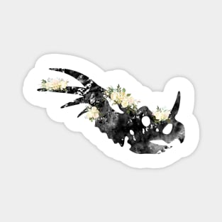 Dinosaur Skull Magnet