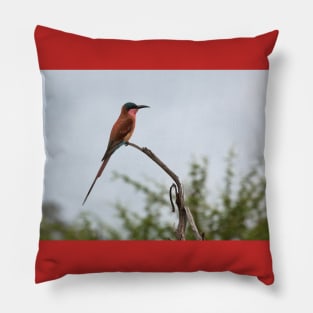 Southern Carmine Bee-Eater Pillow