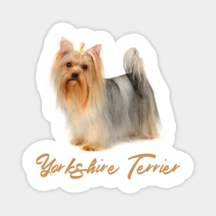 Beautiful Yorkshire Terrier! Especially for Yorkie Dog Lovers! Magnet