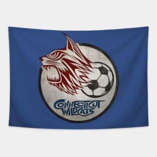 Connecticut Wildcats Soccer Tapestry