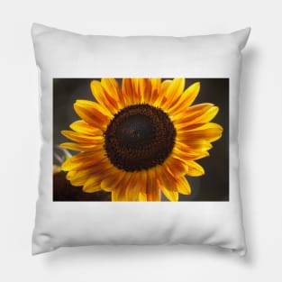 Sunflower Glow Pillow