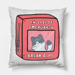 Emergency kitty Pillow