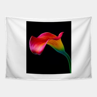 Bold Graphic Red Calla Lily Tapestry