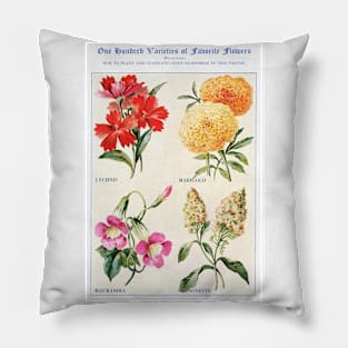 Flower watercolor illustration (1915) Pillow