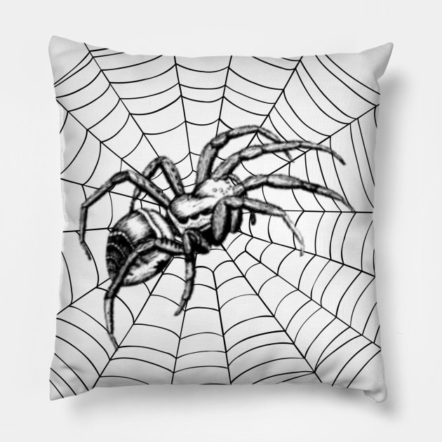 Spider Web Arachnophobia Bugs Halloween Gifts Pillow by Funny Stuff Club