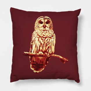 Barred Owl (no Background) Pillow