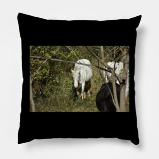 Wild Horse Pillow