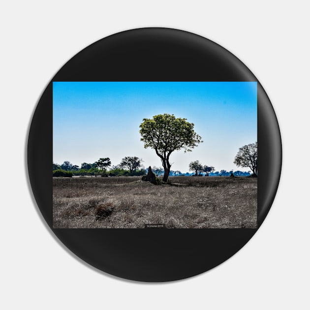 Trees and Termite Mounds Pin by Steves-Pics