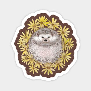 Hedgehog and Daisies Magnet