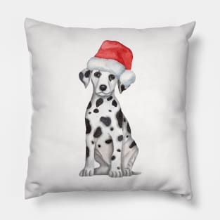 Cute And Lovely Animals With Christmas Pillow