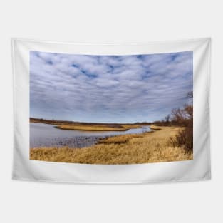 Sand Creek at Salt Plains National Wildlife Refuge by Debra Martz Tapestry