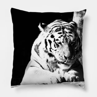 Year of the tiger 2022 / 1 /  Swiss Artwork Photography Pillow