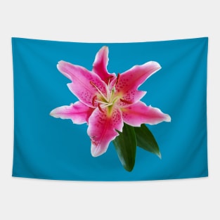 Pink Lily Flower Tapestry