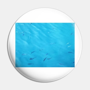 Fish in the Blue Sea Water Photo Pin