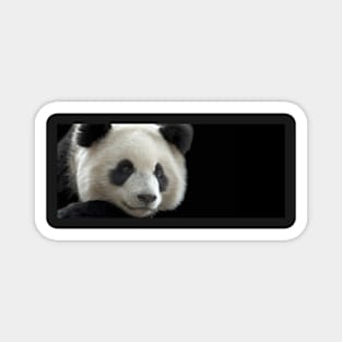 Giant Panda Magnet