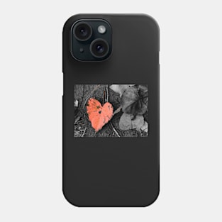 Fall in Love Phone Case