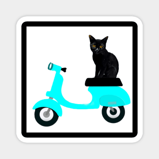 MOTORCYCLE RIDE CAT II Magnet