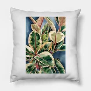 Ficus Plant 1 Pillow