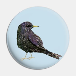 A watercolor drawing of a starling Pin