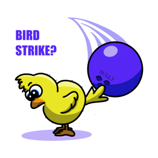 Bird strike? T-Shirt