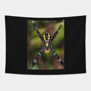 Female Hawaiian garden spider Argiope appensa Tapestry