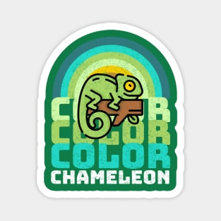 Color Color Color Chameleon Vintage Rainbow Magnet