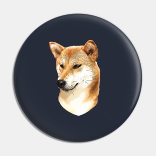 Shiba Inu Stunning Dog! Pin