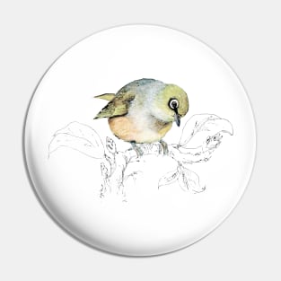 waxeye - Sylvereye bird Pin