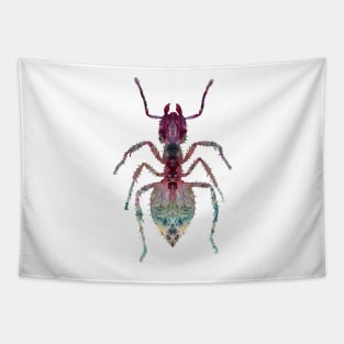 Ant Tapestry