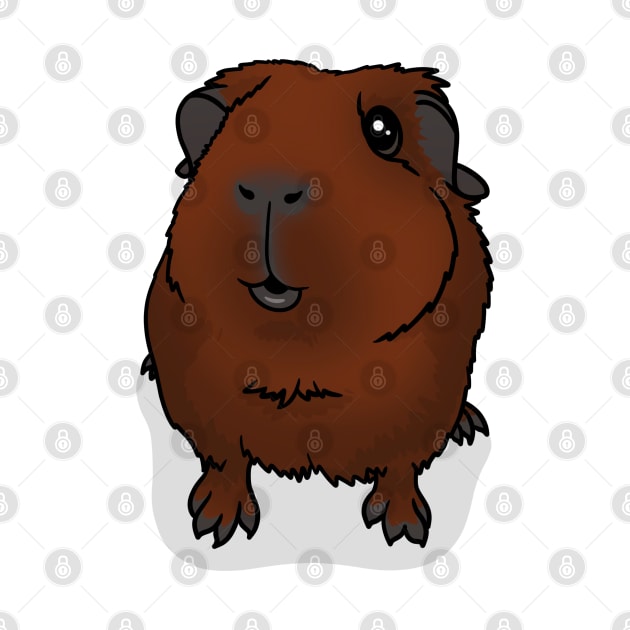 Red Guinea Pig by Kats_guineapigs