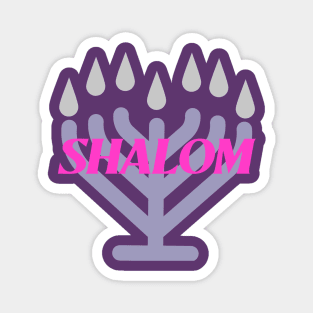 Shalom Magnet