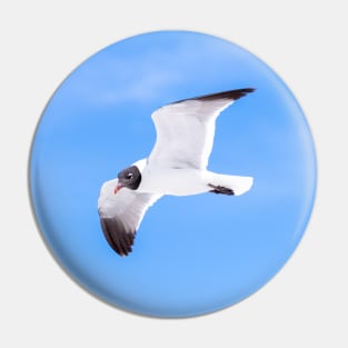 Laughing Gull Seagull and Blue Sky Pin