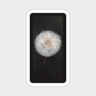 Dandelion in the dark Magnet