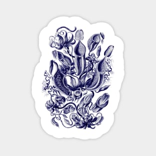 Ernst Haeckel Pitcher Plant Navy Blue Magnet