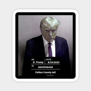Inmate Photo Magnet