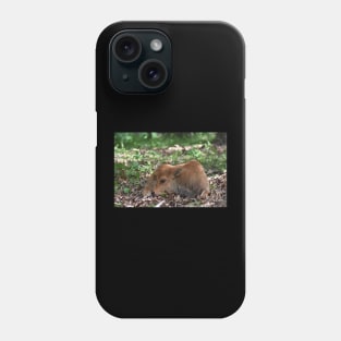 Bison Calf Phone Case