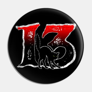 Black Cat 13 Pin