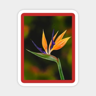 Bird of Paradise Magnet