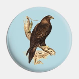 Wedged tailed eagle Pin