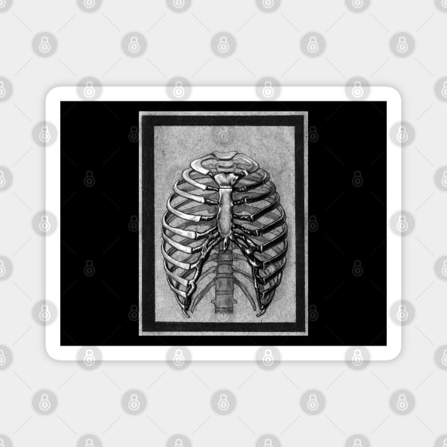 Black and White Skeleton Rib Cage Magnet by IrenesGoodies