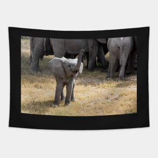 Baby Elephant Says Hello - Tanzania Tapestry