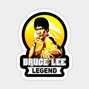 Movie Bruce Jeet Kune Do Bruce Dragon Legend Magnet