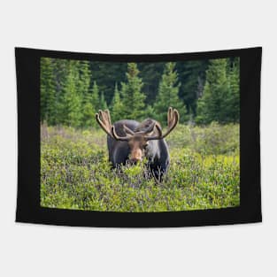 Moose Tapestry