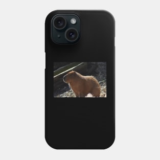 Capybara Phone Case