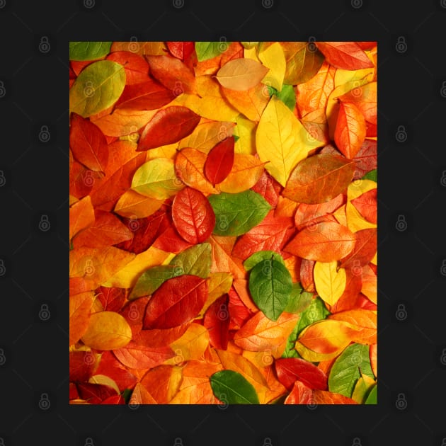 Golden Autumn Leaves by Peter the T-Shirt Dude