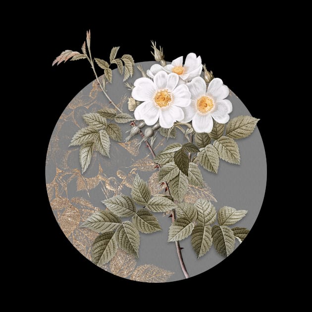 Vintage Blooming White Rosebush Botanical Illustration on Circle by Holy Rock Design