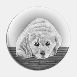 Golden Retriever Puppy Pencil Drawing Pin